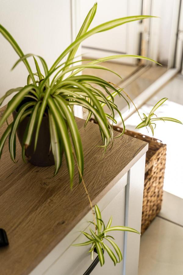 Villa Sainterne Le Bois de Nefles  Exteriér fotografie